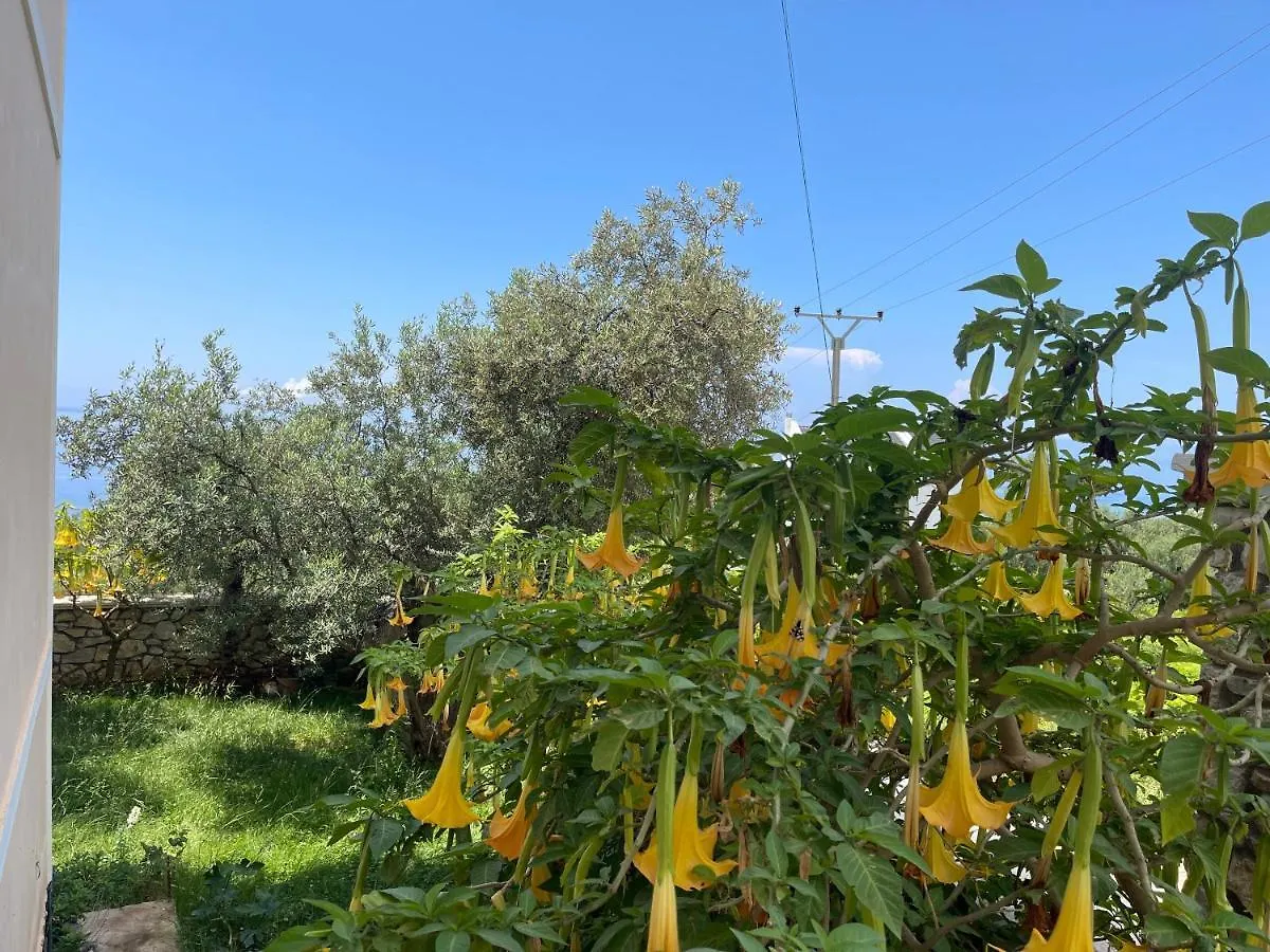 Season Inn Dhermi Albania